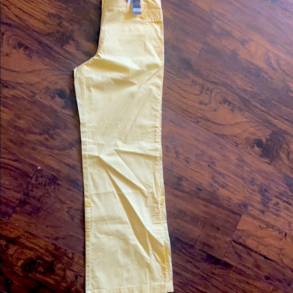 New York and company pants
